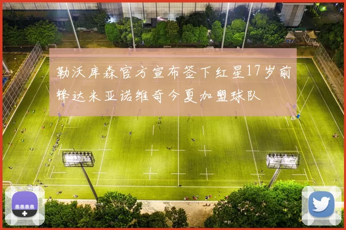 勒沃库森官方宣布签下红星17岁前锋达米亚诺维奇今夏加盟球队