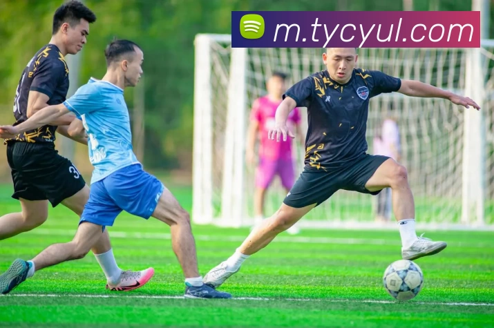 太阳城娱乐平台生态图