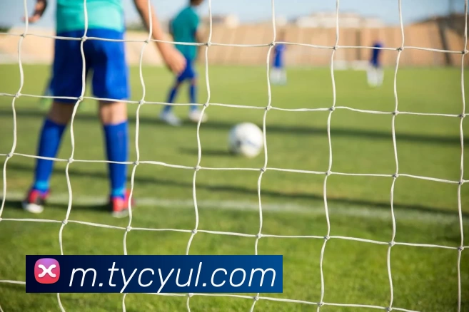 数据防护可视化